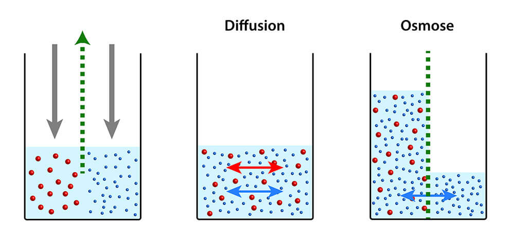 L’osmose inverse