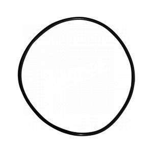 Joint torique pour porte-filtre big blue